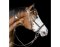 BITLESS BRIDLE Beta the original by Dr. R. Cook