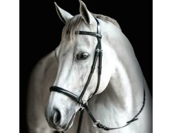 Bitless Bridle Leather - The original of Dr. R. Cook