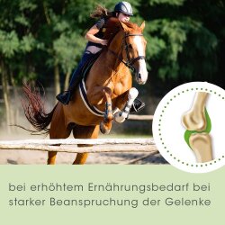 cdVet ArthroGreen run-Fit (Lauf-Fit) for horse, dog and cat