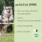 cdVet ArthroGreen run-Fit (Lauf-Fit) for horse, dog and cat