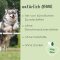 cdVet ArthroGreen run-Fit (Lauf-Fit) for horse, dog and cat