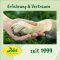 cdVet ArthroGreen run-Fit (Lauf-Fit) for horse, dog and cat