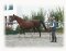 Lunge Softlonge violet