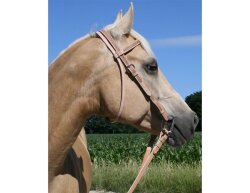 BAREFOOT Missoula Nut and Virginia Rose Bridle