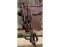 BAREFOOT Missoula Nut and Virginia Rose Bridle