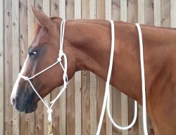 Horse-Man rope halter in professional trainer quality in...