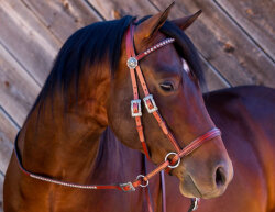 Bitless Bridle Deluxe Western Leather Headstall with antiqued blings