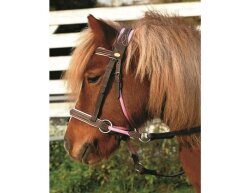 Padded two-tone Pony Bitless Bridle Barefoot