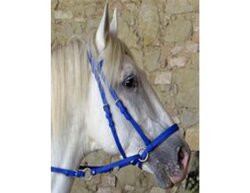 BITLESS BRIDLE Beta bleu moyen pièce unique sans...