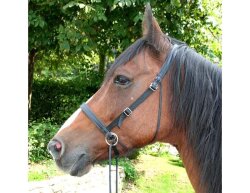 UBB Pro in biothane with only one noseband