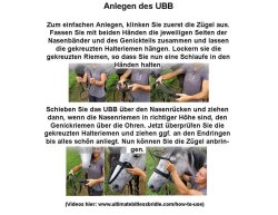 UBB Pro in biothane with only one noseband