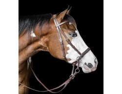 BITLESS BRIDLE Beta black Pony (small)