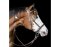 BITLESS BRIDLE Beta black Pony (small)