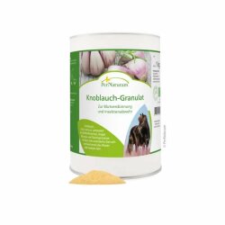 Garlic granules for blood thinning and insect repellent
