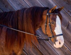 BRIDLE BITLESS Dr. R. Cook Western Beta Biothane DELUX (sans rênes)