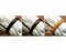 BITLESS BRIDLE Dr. R. Cook Premium cob brown