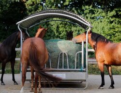 CG hay net cover - 3,50 m x 3,50 m- for feeders