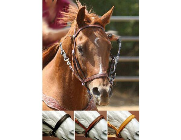 BITLESS BRIDLE Western Style brown Extra Full