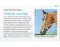 BITLESS BRIDLE Western Style brown Extra Full