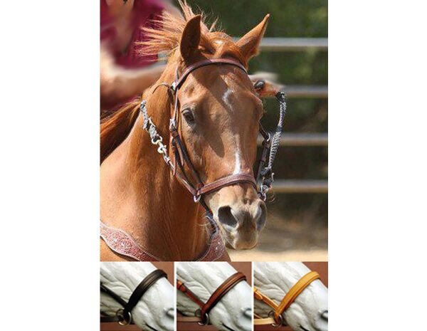 BITLESS BRIDLE Western Style Biotane braun VB