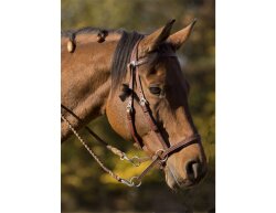 Bitless Bridle WESTERN STYLE -brown-Full