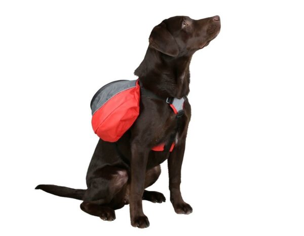 Dog backpack Kerbl