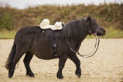 BAREFOOT Schafwoll-Sitz mit Pauschen Ride-On-Pad in 2 Größen