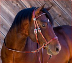 BITLESS BRIDLE Western Deluxe with Antique Rivets Extra Full (KB) brown