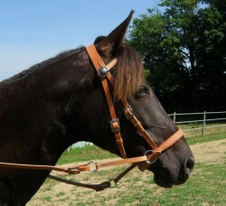 BITLESS BRIDLE Western Deluxe with Antique Rivets Small (Pony) Natural