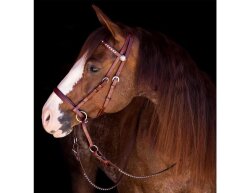 BITLESS BRIDLE Western Beta Deluxe black Full
