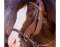 BITLESS BRIDLE Western Beta Deluxe black Full