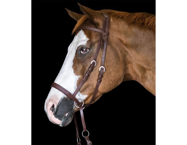 BITLESS BRIDLE Western Beta Biotane noir poney