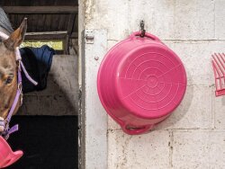 RED GORILLA Gorilla Plas S2 Feeding Bucket Pink